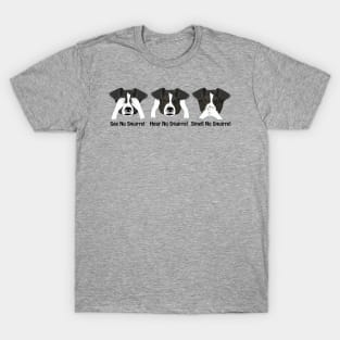 See, Hear, Smell no Squirrel T-Shirt